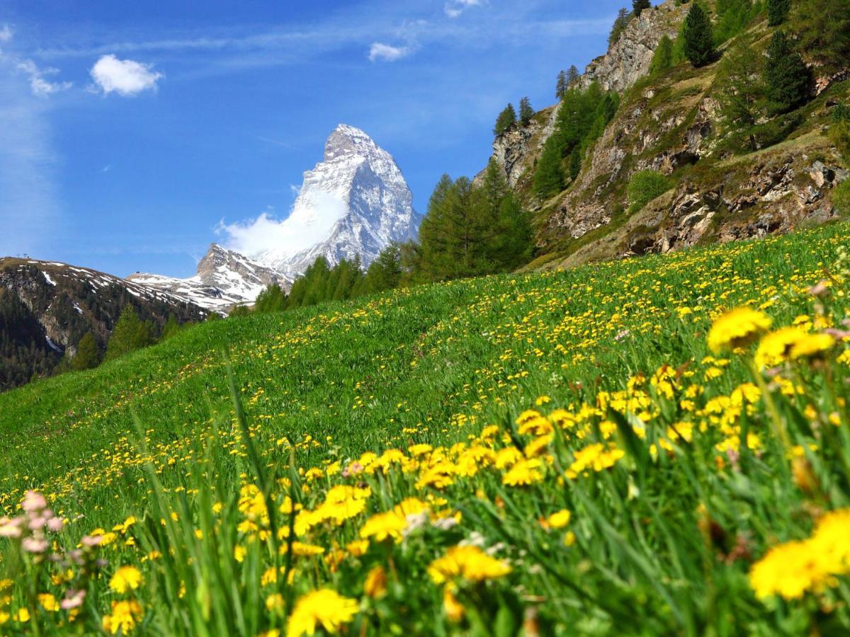 Apartment Richemont By Interhome Zermatt Bagian luar foto